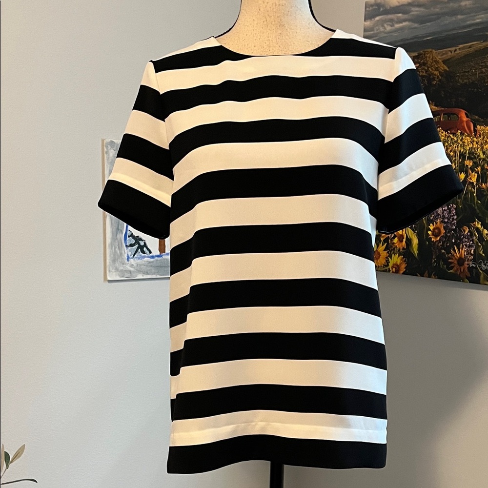 Banana Republic Bold Striped Top